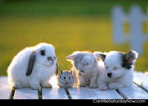 All friends - they are all cute friends